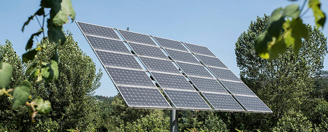 2022,-un-año-de-oportunidad-para-la-energía-solar-Bluegold-Energía