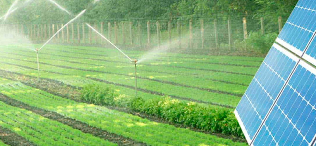 Aplicaciones y ventajas del bombeo solar en la agricultura