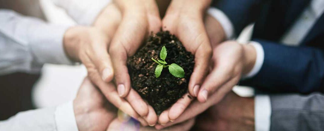 La importancia de los indicadores de sostenibilidad ambiental en la empresa