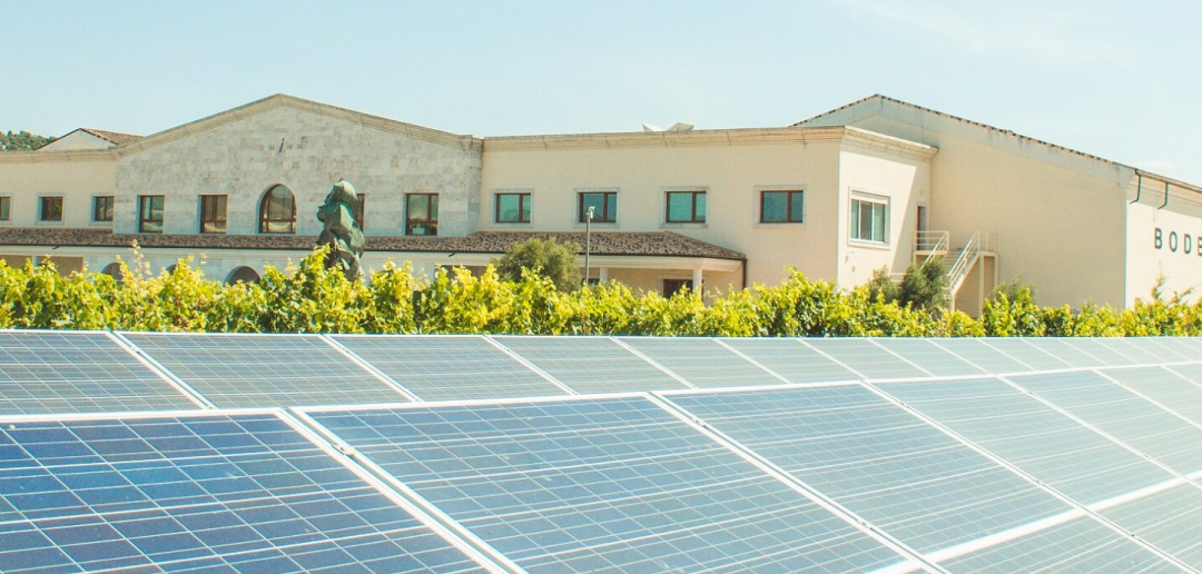 La energía solar, oportunidad para la competitividad de la industria agroalimentaria Bluegold Energia