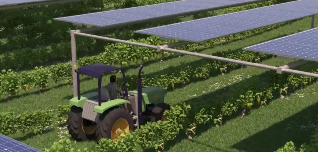 Energía agrovoltaica Una agricultura más sostenible bg energy