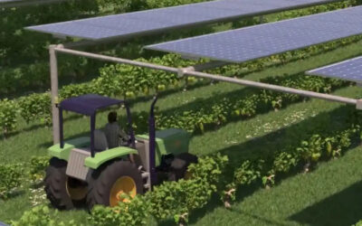 ¿Qué es la energía agrovoltaica?