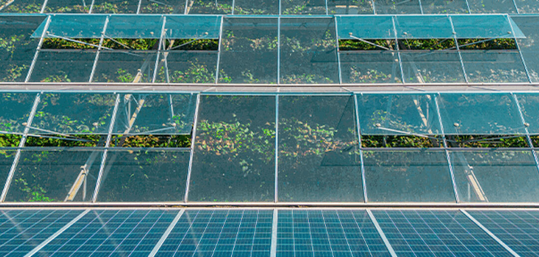 Paneles solares ventajas de un diseño innovador Energía solar y agricultura bg energy