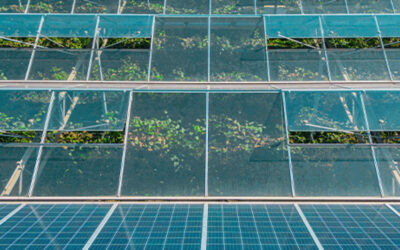 Paneles solares: ventajas de un diseño innovador